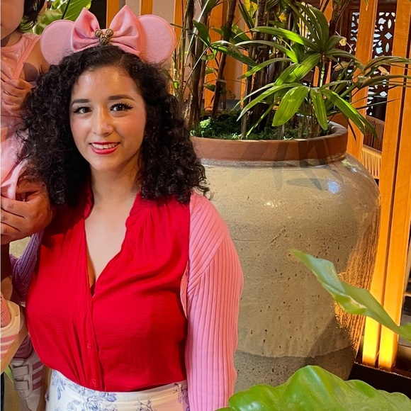 Pink Velvet Minnie Mouse inspired ears with brown charm. - Picture 1 of 5